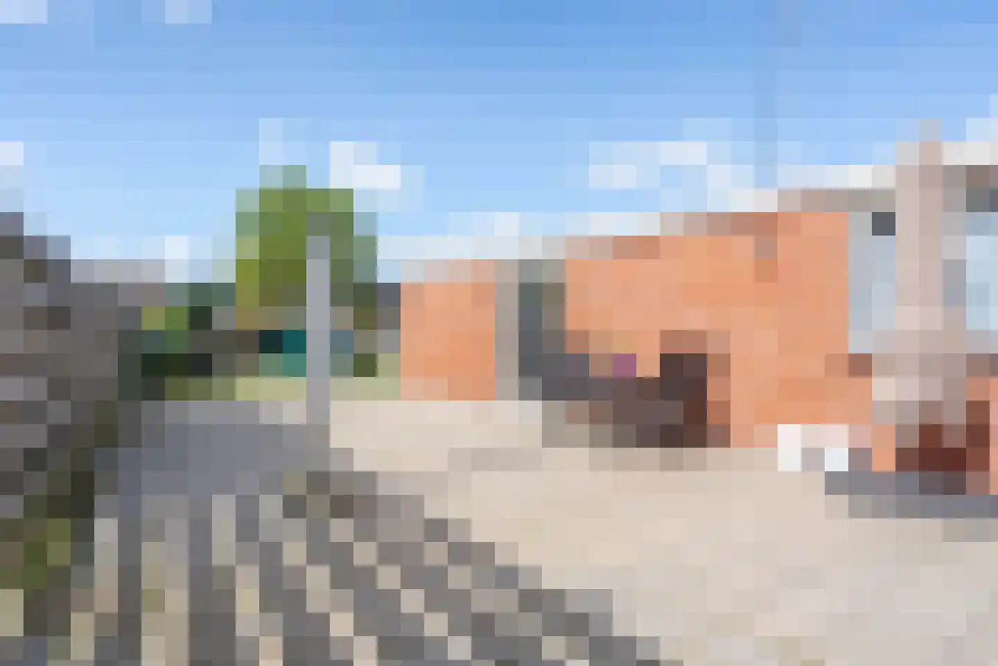 Uitwierderweg 46 Delfzijl thumbnail 40