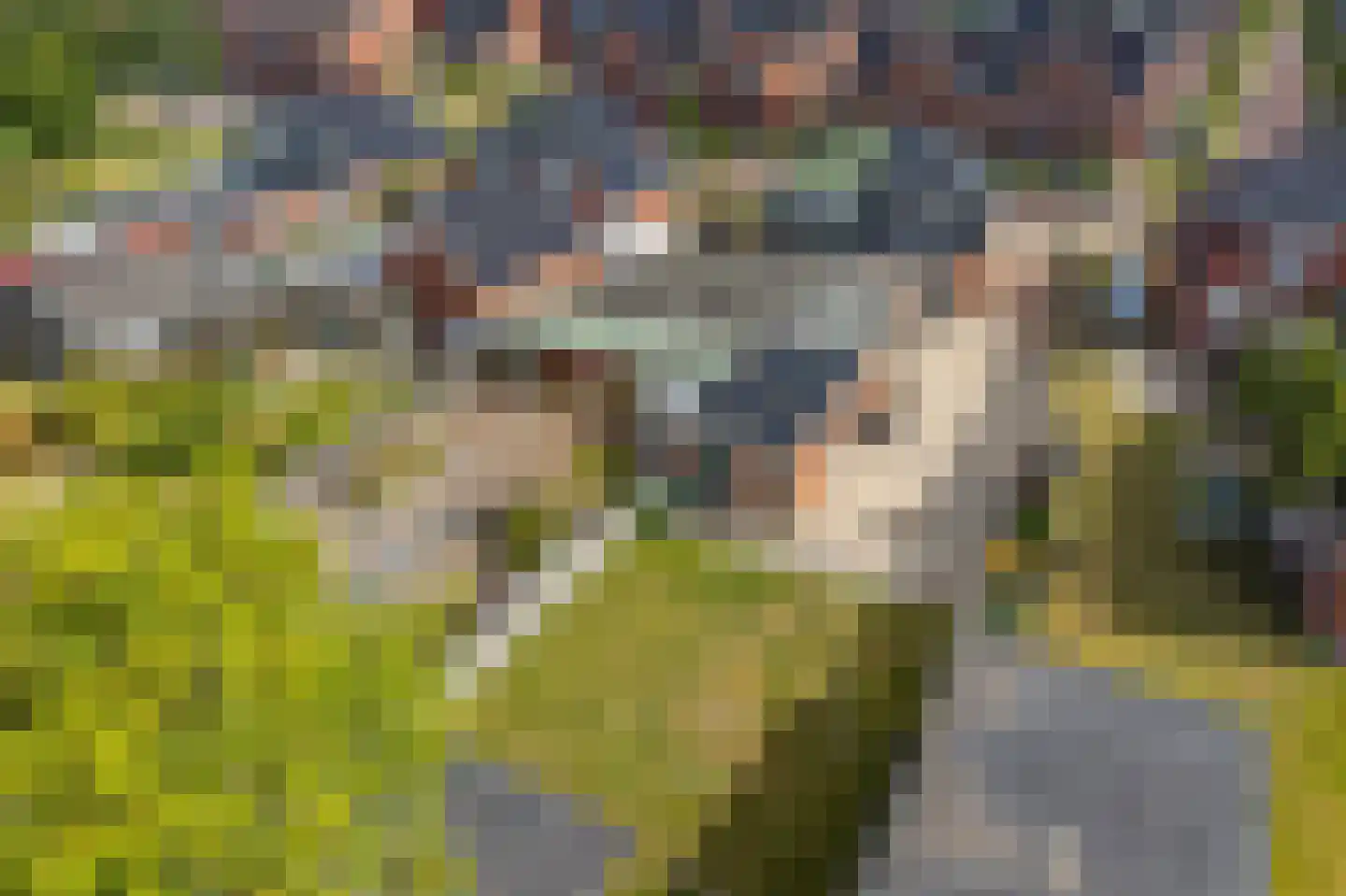 Uitwierderweg 46 Delfzijl thumbnail 43