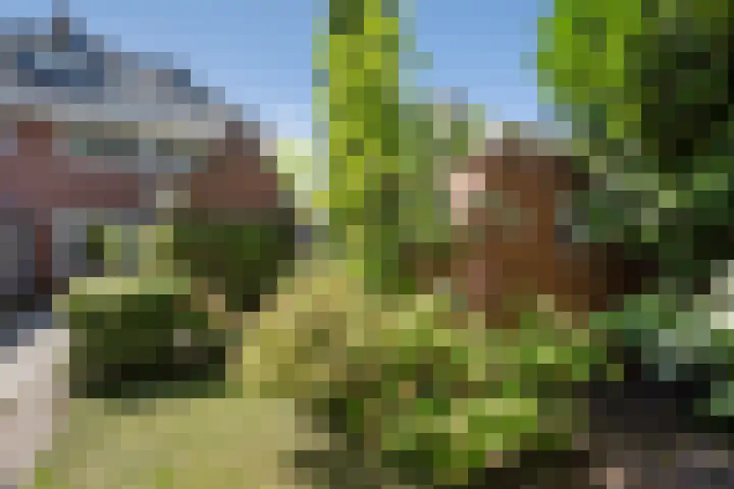 Uitwierderweg 55 Delfzijl thumbnail 13