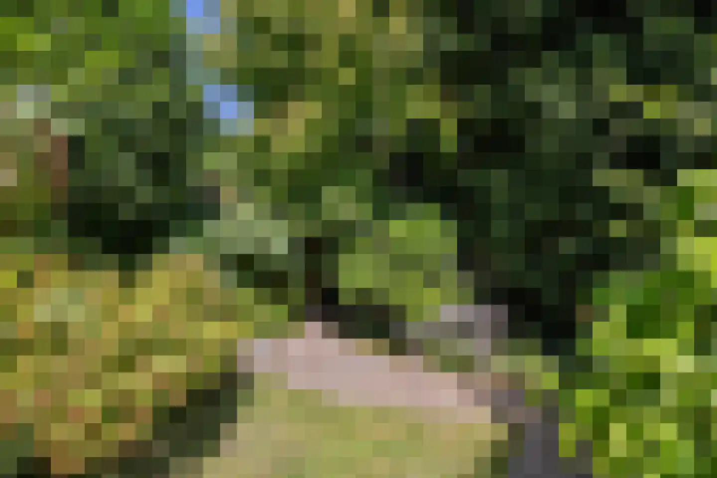 Uitwierderweg 55 Delfzijl thumbnail 14