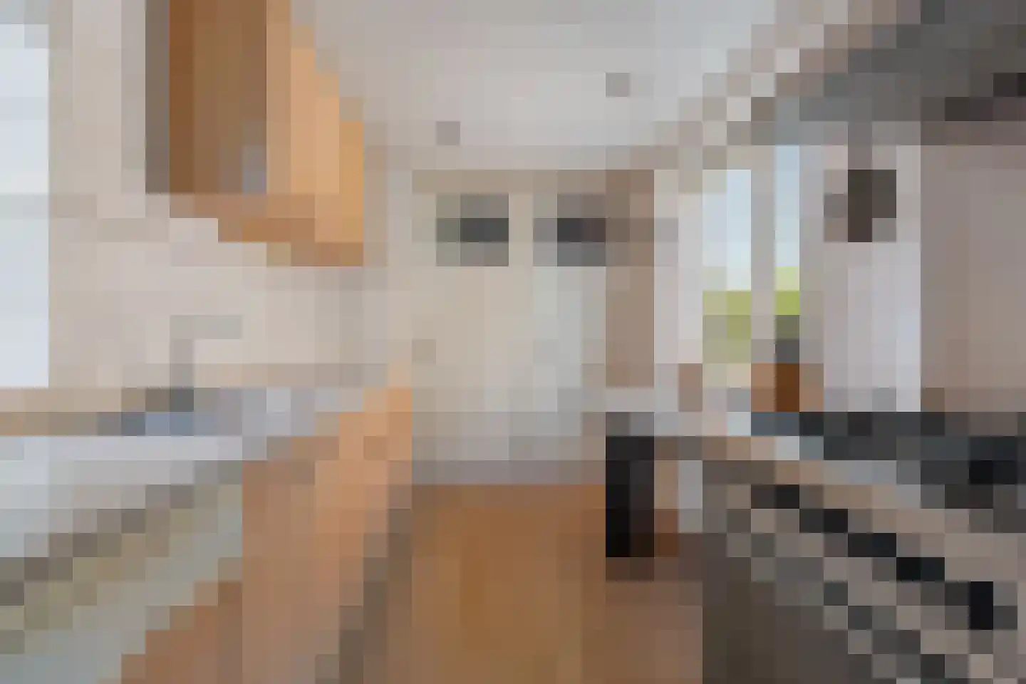 Uitwierderweg 55 Delfzijl thumbnail 29