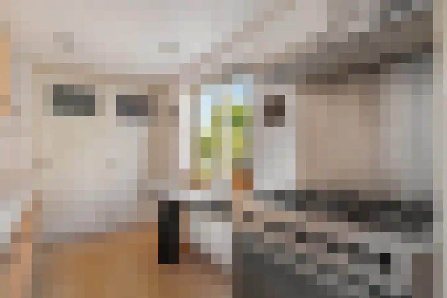 Uitwierderweg 55 Delfzijl thumbnail 30