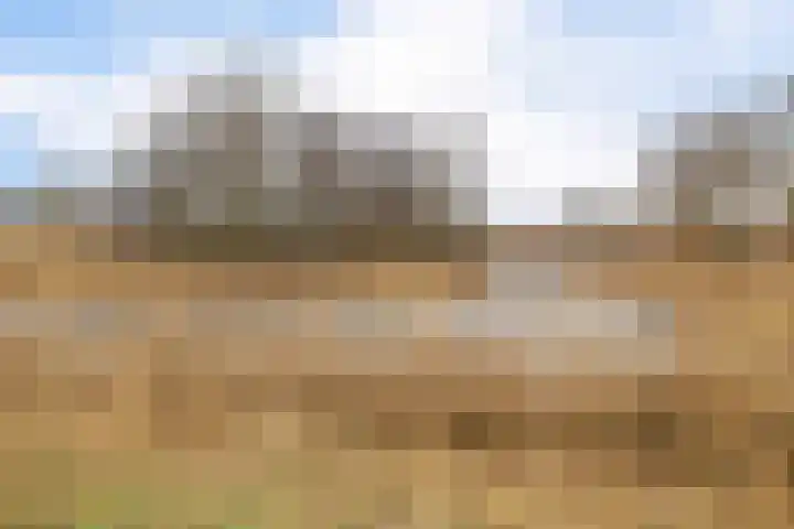 Uitwierderweg 56 Delfzijl thumbnail 12