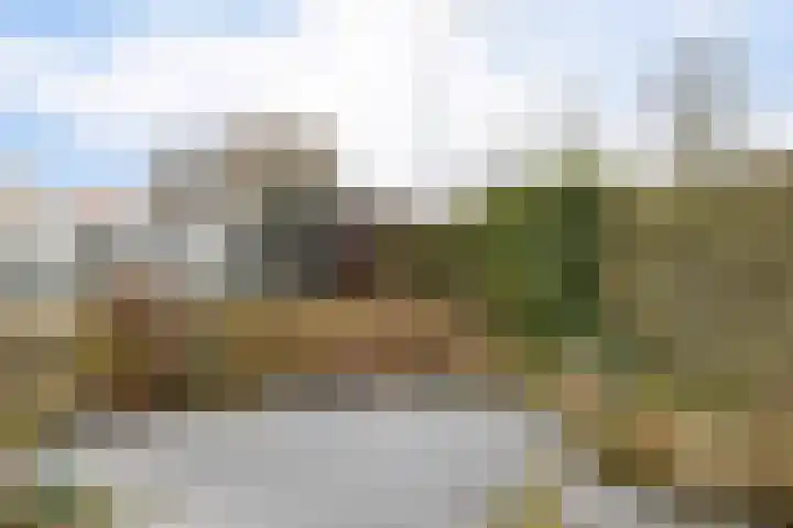 Uitwierderweg 56 Delfzijl thumbnail 18
