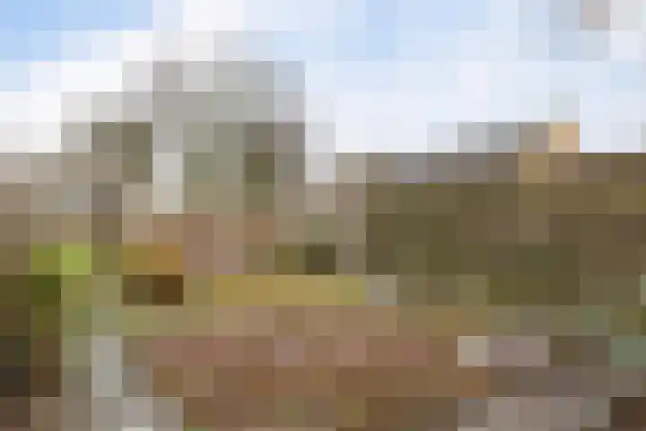 Uitwierderweg 56 Delfzijl thumbnail 19