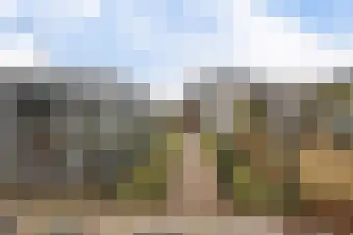 Uitwierderweg 56 Delfzijl thumbnail 20