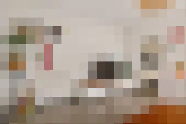 Uitwierderweg 56 Delfzijl thumbnail 32