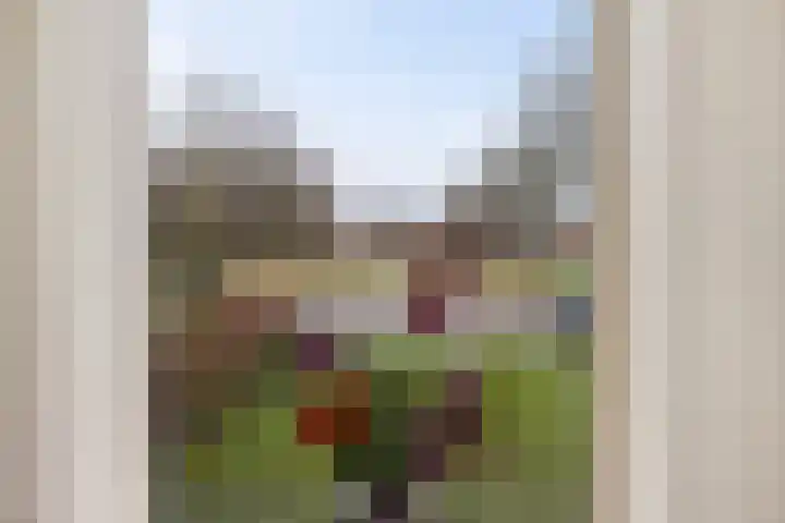 Uitwierderweg 56 Delfzijl thumbnail 34
