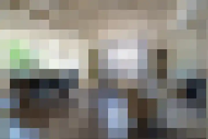 Uitwijksestraat 6 Uitwijk thumbnail 13