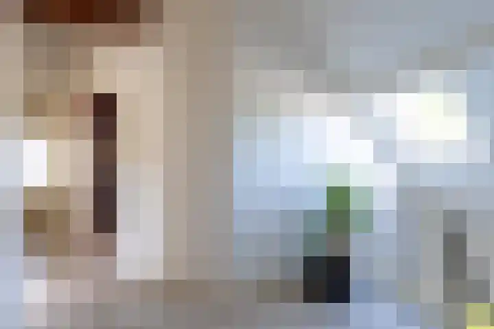 Uitwijksestraat 6 Uitwijk thumbnail 27