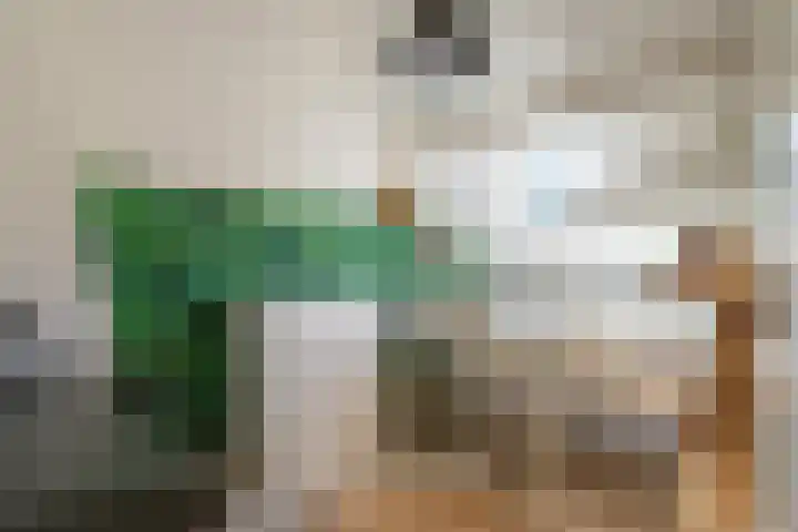 Uitwijksestraat 6 Uitwijk thumbnail 29