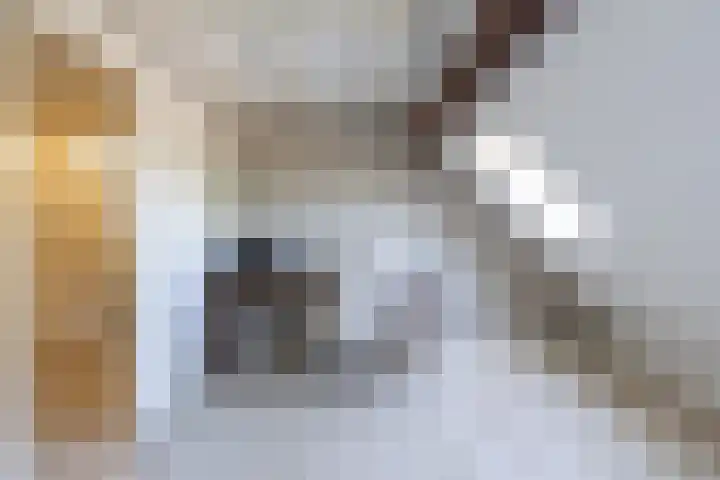 Uitwijksestraat 6 Uitwijk thumbnail 36