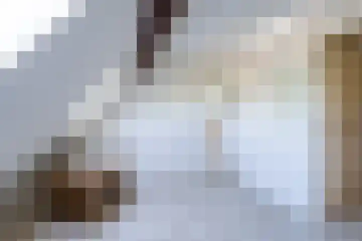 Uitwijksestraat 6 Uitwijk thumbnail 37