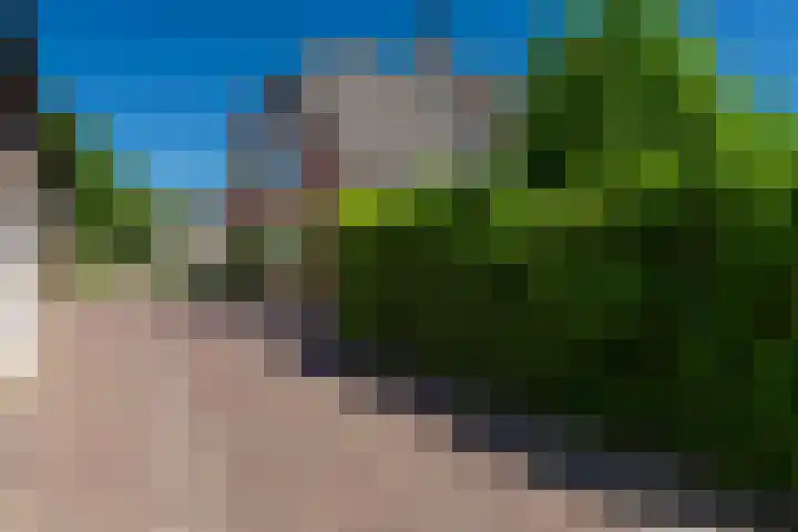 Uitwijksestraat 6 Uitwijk thumbnail 4