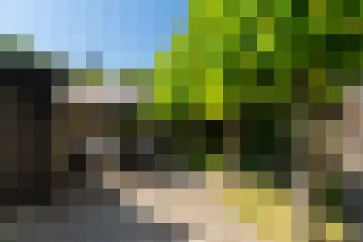 Uitwijksestraat 6 Uitwijk thumbnail 47
