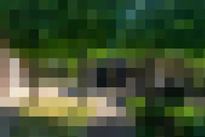 Uitwijksestraat 6 Uitwijk thumbnail 48
