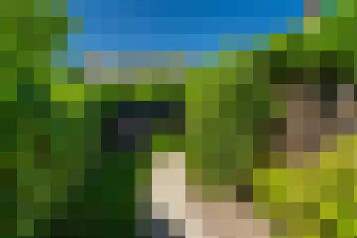 Uitwijksestraat 6 Uitwijk thumbnail 49