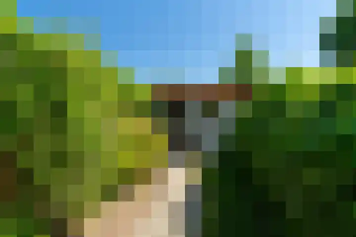 Uitwijksestraat 6 Uitwijk thumbnail 50