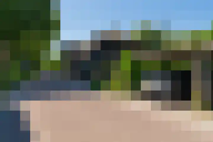 Uitwijksestraat 6 Uitwijk thumbnail 52