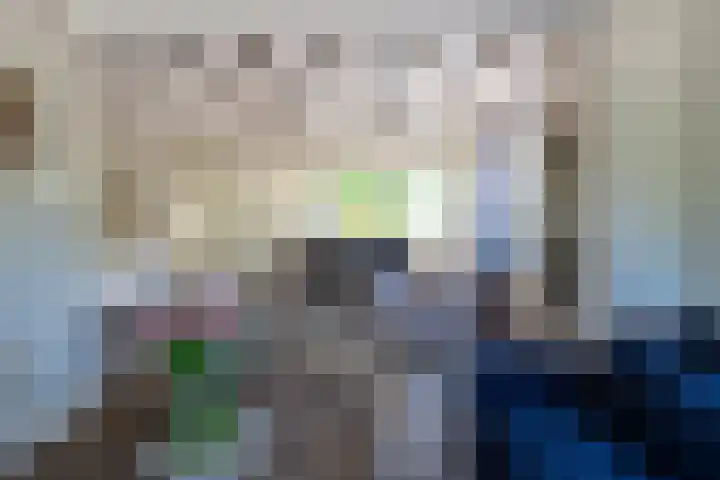 Uitwijksestraat 6 Uitwijk thumbnail 8