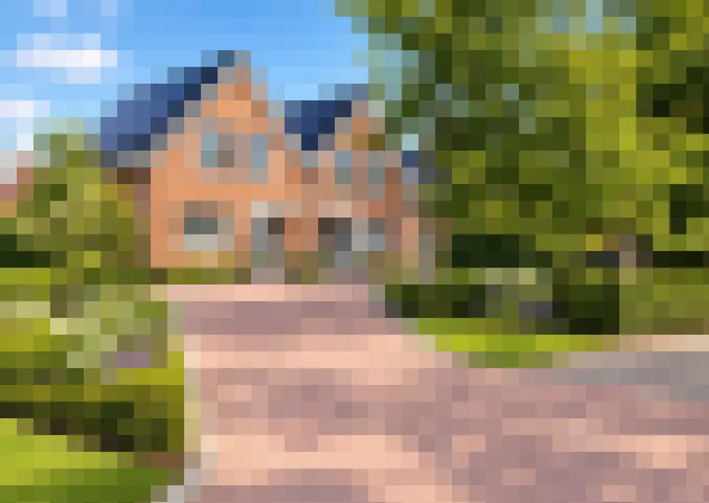 Uiver 3 in Hank