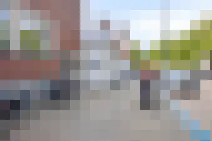 Uiver 3 Hank
