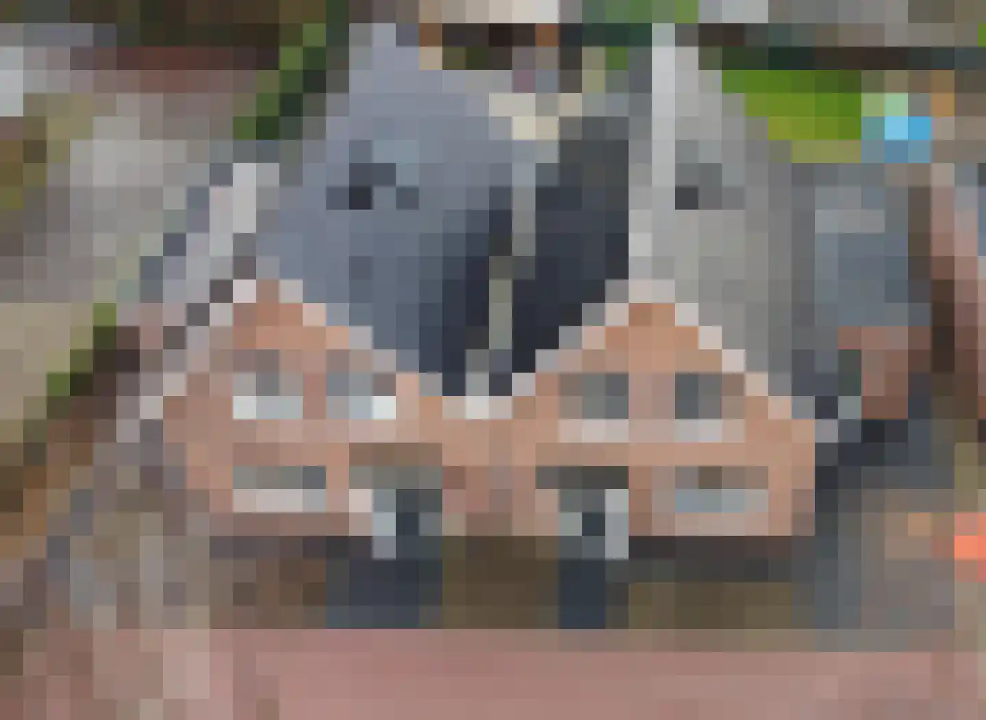 Uiver 3 Hank foto 2