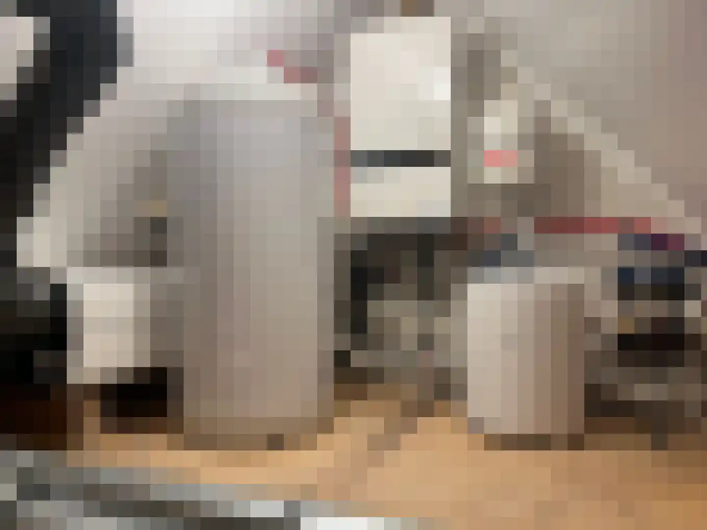 Uiver 3 Hank thumbnail 30