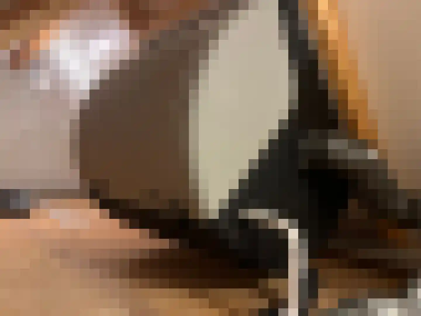 Uiver 3 Hank thumbnail 31