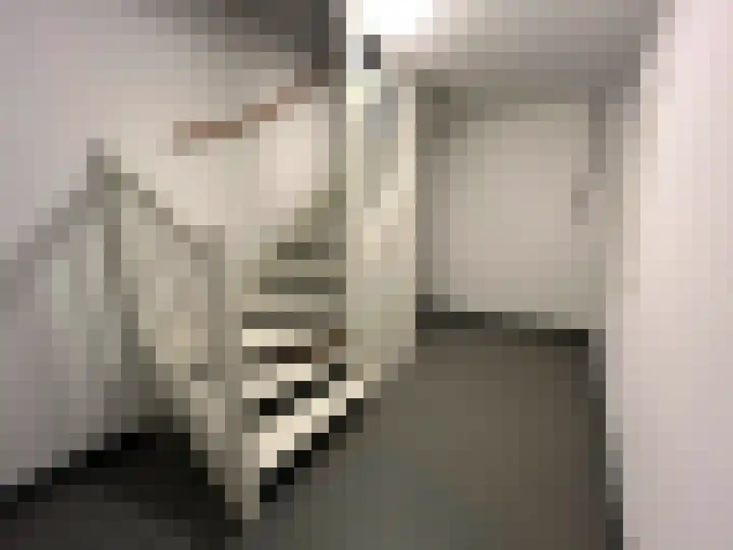 Uiver 3 Hank thumbnail 35