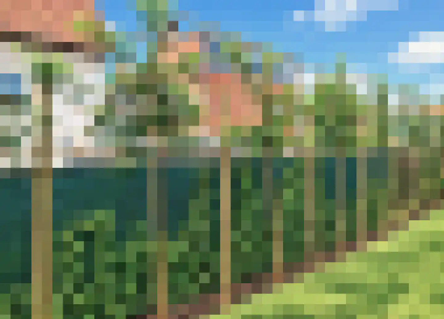 Uiver 3 Hank thumbnail 37