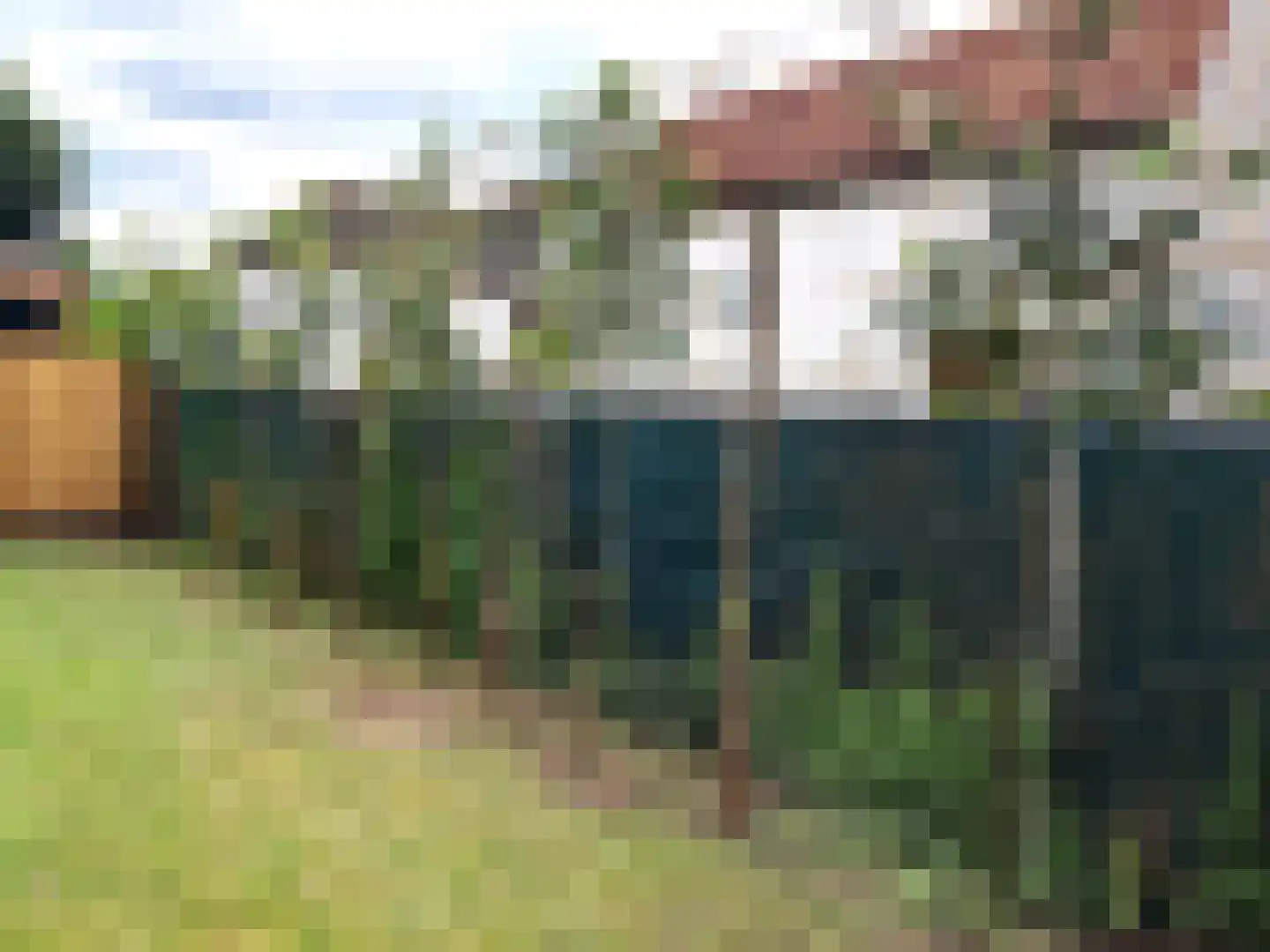 Uiver 3 Hank thumbnail 42