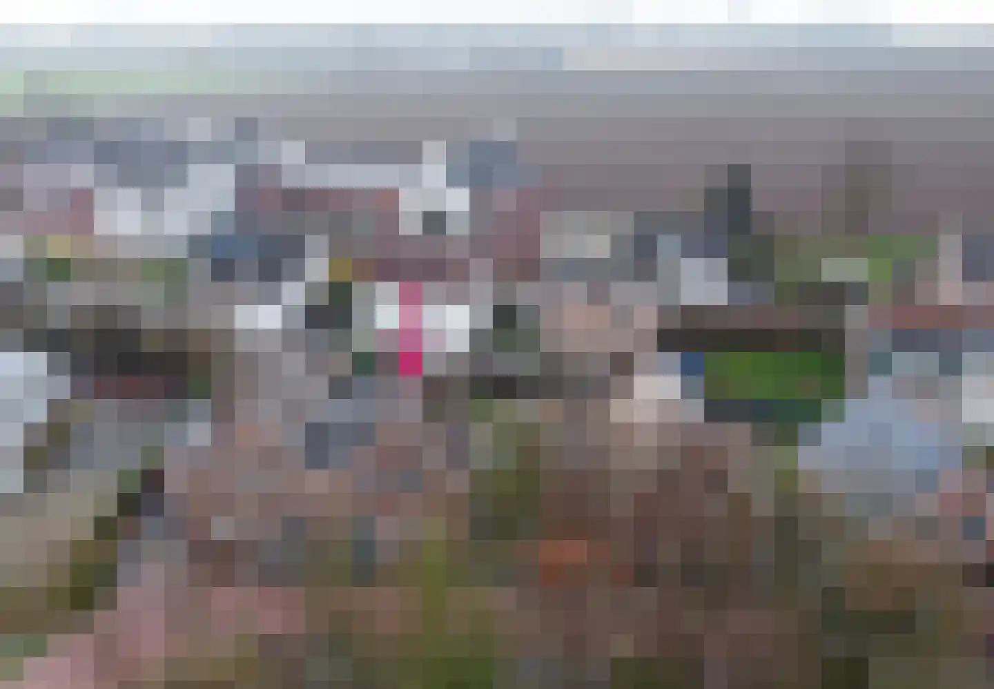 Uiver 3 Hank thumbnail 48