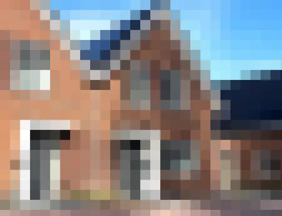 Uiver 3 Hank thumbnail 6