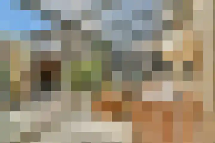 Uiver 6 Sassenheim thumbnail 10