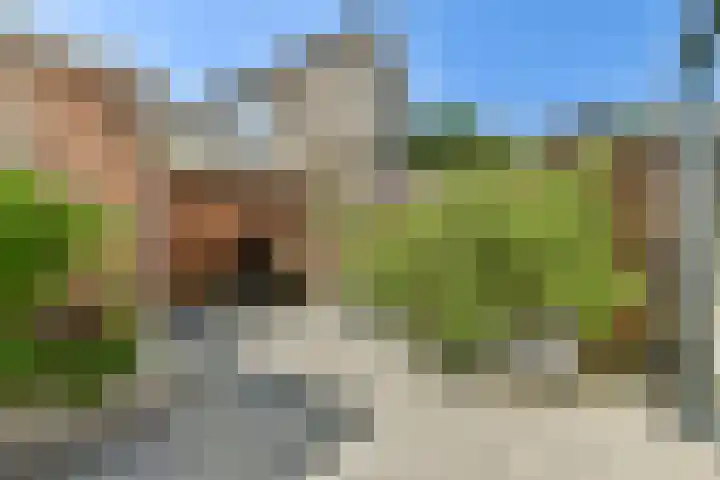 Uiver 6 Sassenheim thumbnail 11