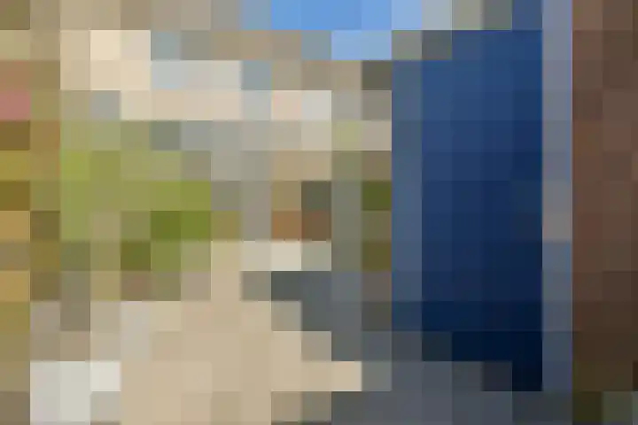 Uiver 6 Sassenheim thumbnail 12