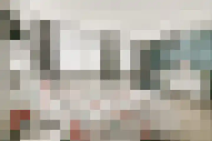 Uiver 6 Sassenheim thumbnail 15