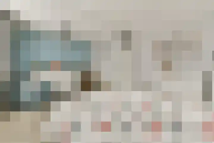 Uiver 6 Sassenheim thumbnail 17