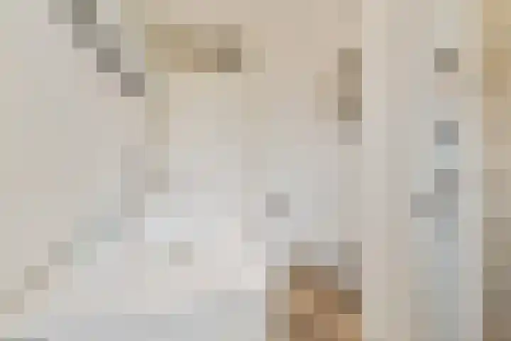 Uiver 6 Sassenheim thumbnail 19
