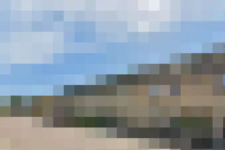 Uiver 6 Sassenheim foto 2