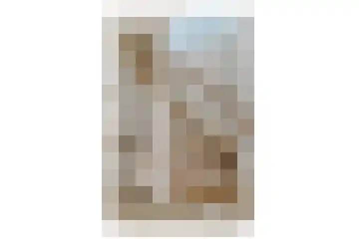 Uiver 6 Sassenheim thumbnail 22