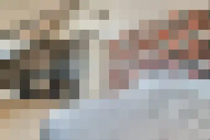 Uiver 6 Sassenheim thumbnail 25