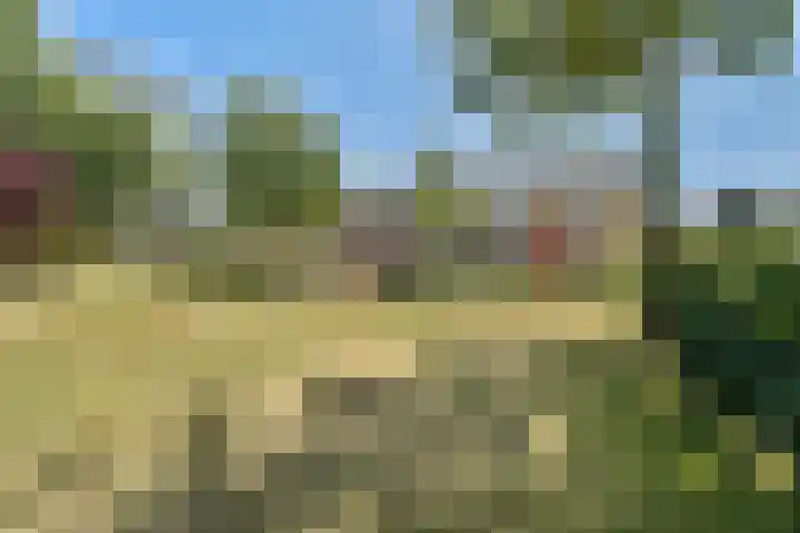 Uiver 6 Sassenheim thumbnail 27