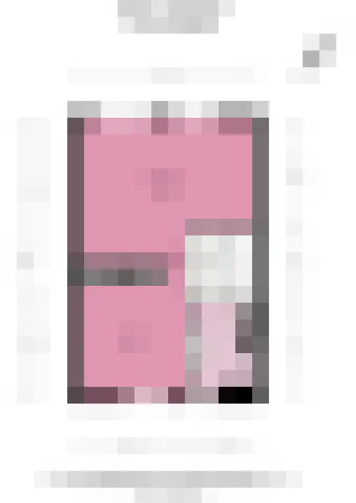 Uiver 6 Sassenheim thumbnail 29