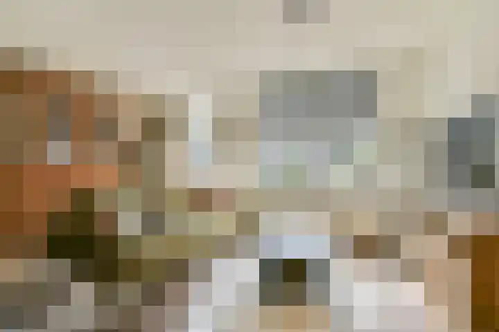 Uiver 6 Sassenheim thumbnail 4