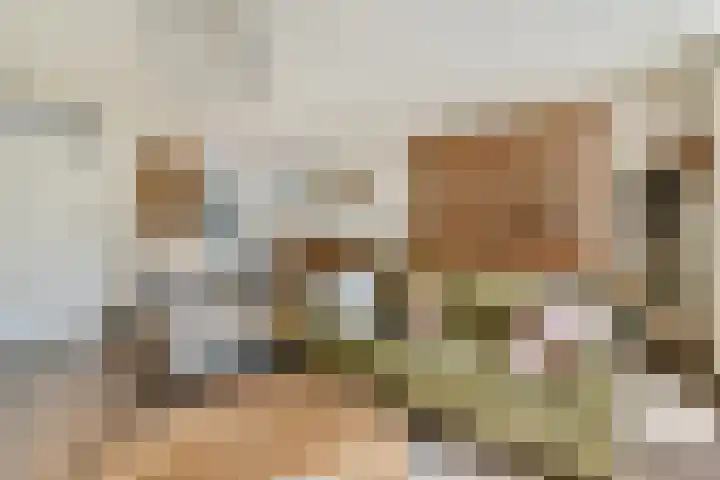 Uiver 6 Sassenheim thumbnail 5