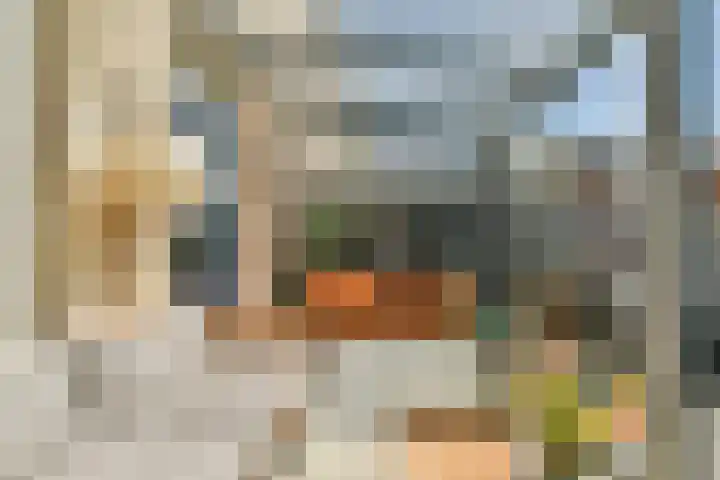 Uiver 6 Sassenheim thumbnail 9