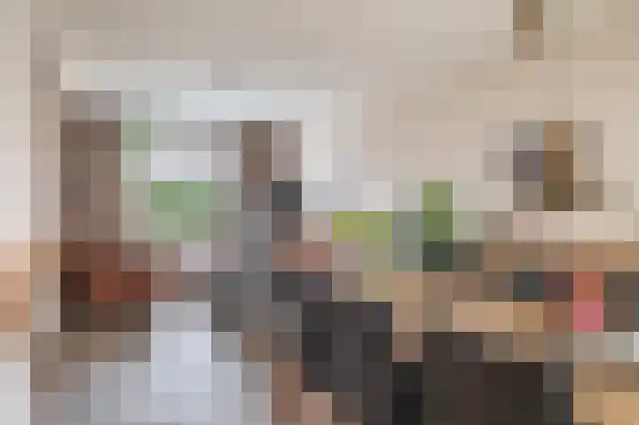 Uiverdonk 21 Veghel thumbnail 10