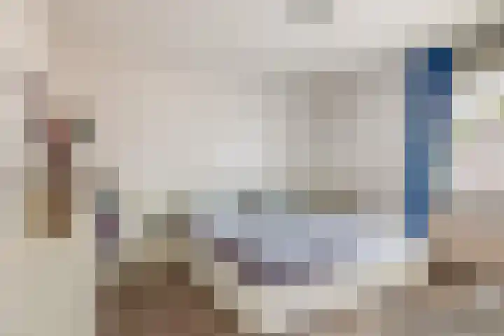 Uiverdonk 21 Veghel thumbnail 18
